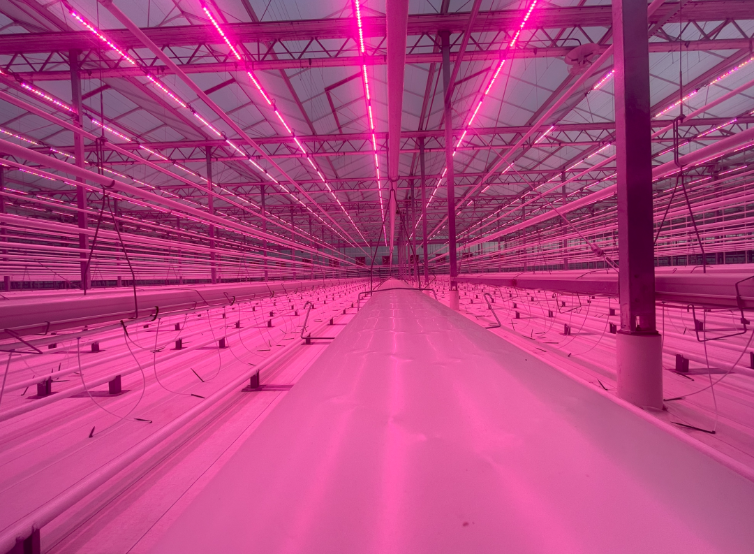 园艺照明协议 HLP